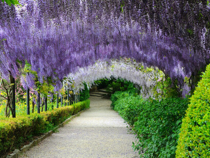Giardino Bardini, Firenze, Italia