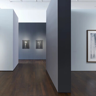 Axel Hütte, Silent spaces, exhibition view. Courtesy of Arp Museum