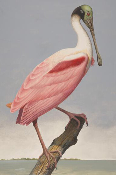 Seeing in Detail. Courtesy of Amon Carter Museum of American Art