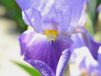 La semplificazione delle abitudini quotidiane consente di ridurre la dipendenza da sistemi complessi e mediaticamente condizionati