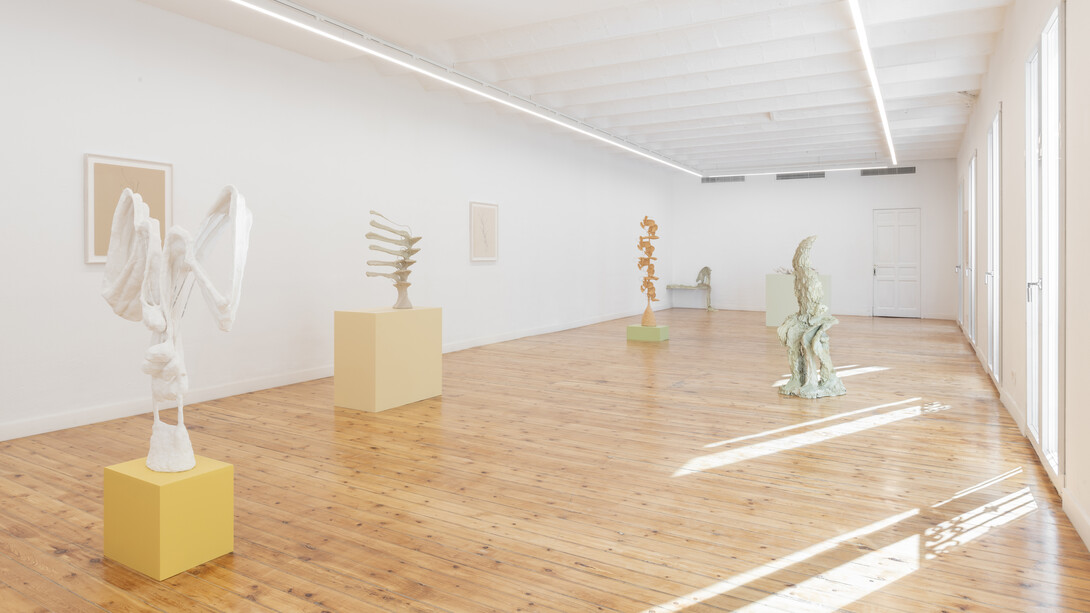 Installation View, Habitual. Courtesy of Nogueras Blanchard Madrid