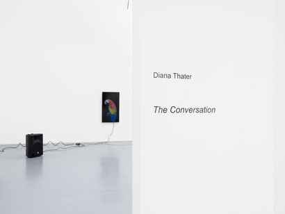 Diana Thater, The conversation, vue d'exposition. Avec l'aimable autorisation de la Galerie Hussenot