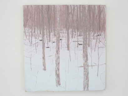 Scott Collbreth