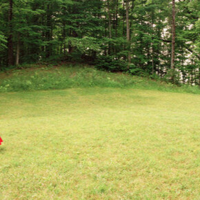 Dread & Delight. Courtesy of Akron Art Museum