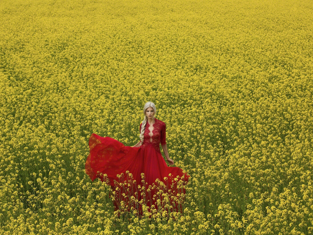 Keziban Barry, Rapeseed Stil, 2016. Courtesy of Blank Space 