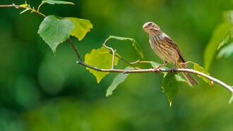 It took my mind away from the morning chores and I drifted away into memories