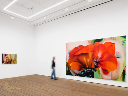 Louise Giovanelli, Still moving, exhibition view. Courtesy of Grimm Gallery