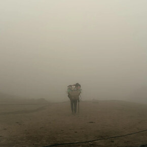 Sasha Bezzubov, Fog, 2024. Courtesy of Front Room Gallery