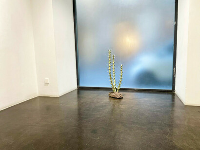 Chiqui García, Naturaleza interna, vista de exhibición. Cortesía de Galería Ponce+Robles