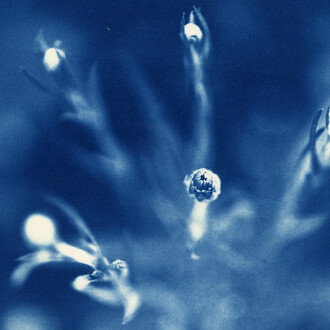 Be-hold Exhibition of Color Photographs. Courtesy of Be-hold