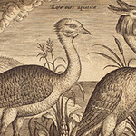 Drawn to Paradise. Courtesy of The Huntington 