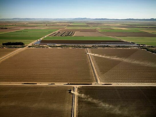 Edward Burtynsky, Alfalfa Farms, Imperial Valley, Southern California, 2009 Chromogenic color print 48 x 64" Edition 1/6