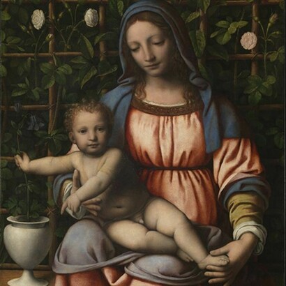 Bernardino Luini, Madonna con il Bambino (Madonna del roseto), 1516‐1517 circa, tavola, cm 70 x 63, Milano, Pinacoteca di Brera, Reg. Cron. 331 Su, concessione del Ministero per i Beni e le Attività, Culturali e del Turismo