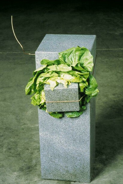 Giovanni Anselmo. "Untitled" (Eating Structure), granite, copper wire, lettuce 1968