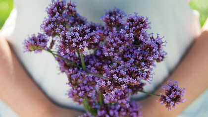 Essenze di primavera