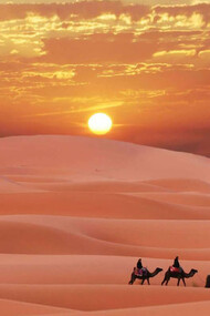 Escape to the Desert