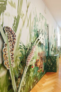 Loophole. Courtesy of Naturhistorisches Museum Basel