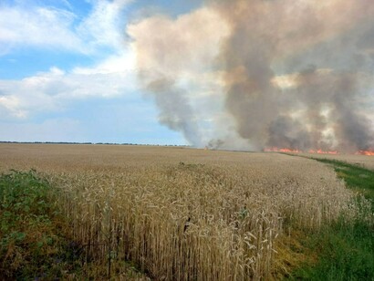 Campo de trigo cerca del asentamiento de Andriivka en el óblast de Járkov (Ucrania) después del bombardeo ruso el 5 de julio de 2022.