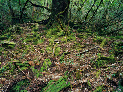 Unwired. Courtesy of Benrubi Gallery