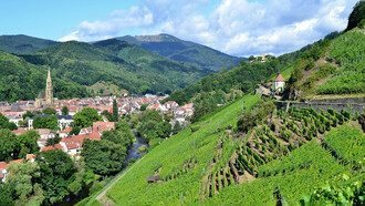 Il vigneto grand cru Rangen sopra Thann (Alto Reno), Francia