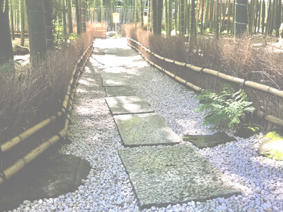 Houkokuji Temple © Alma Reyes
