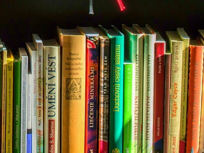 Prateleira de livros. Romances, então? Muitos acham que romances são leitura “leve” ou “superficial”. Mas quem já leu Jane Austen ou Nicholas Sparks sabe que uma boa história de amor pode explorar temas complexos como relacionamentos, escolhas de vida e até questões sociais. Além disso, romances são ótimos para quem quer uma leitura envolvente e emocional