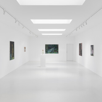 Claudia Koh, Soft spot, exhibition view. Courtesy of Super Dakota