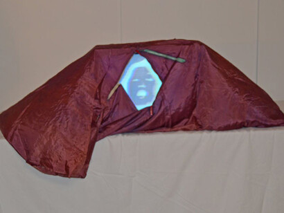 The Body Electric. Courtesy of Walker Art Center