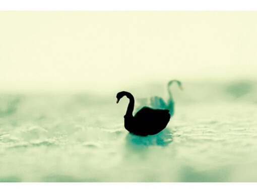 Miwako Iga, The Fury of Lake, 2015, c-print, 60 x 90 cm            