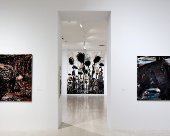 Regeneration Series, Exhibition view. Courtesy of NSU Art Museum