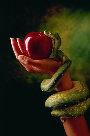 Il serpente e la mela