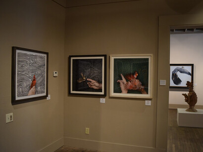 Texas Aviary. Courtesy of  William Reaves | Sarah Foltz Fine Art