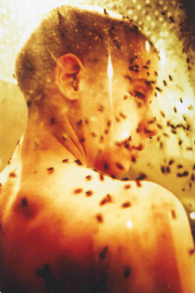 Gerardo Lamattina, performance