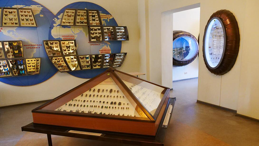 The world of insects, exhibition view. Courtesy of the Latvian National Museum of Natural History