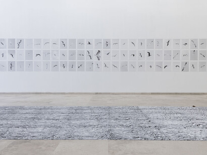 Juan del Junco, Ese gran trecho que -aún en vuelo- separa el secano de dos mares, vista de exhibición. Cortesía del Museo Patio Herreriano