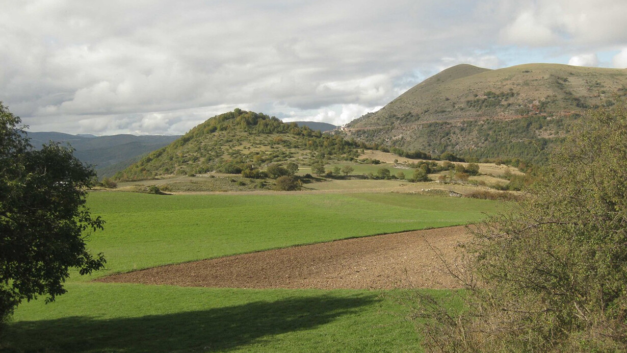Pascoli in altura in Umbria