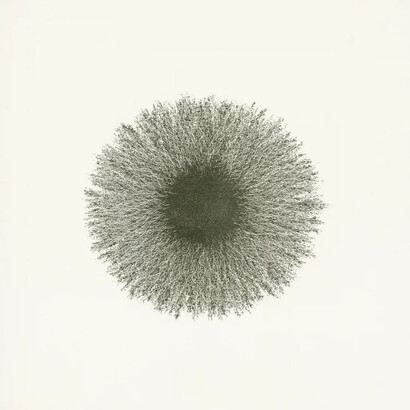 Nicole Phungrasamee Fein, Wild child 8, 2025. Courtesy of Nancy Hoffman Gallery