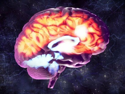 Con el embarazo se produce una disminución de la sustancia gris en determinadas secciones de la corteza cerebral vinculadas a las habilidades cognitivas 