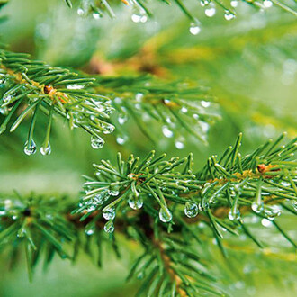 Obiettivo benessere. Courtesy of Palazzo Comunale