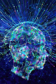 The field of neuroscience includes several approaches