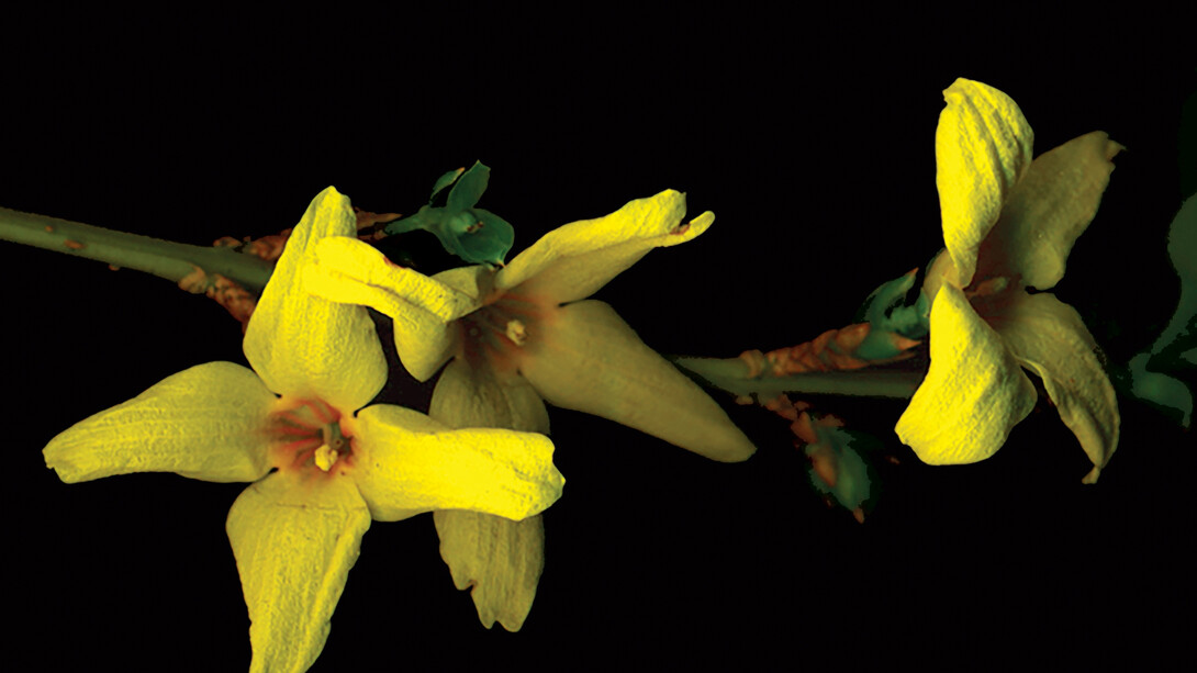 All Images: Barbara Freeman 'Drifting The Bann'. Film Still 2015