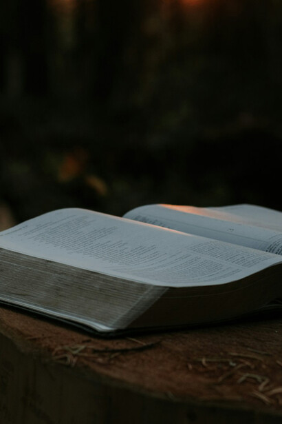 The open pages of a book signify the relationship between knowledge and peace