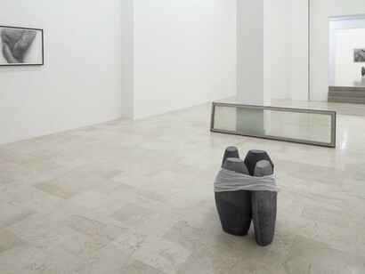 Foreign bodies. John Coplans & June Crespo, installation view, 2018, P420 Bologna. Ph C. Favero