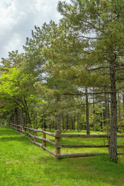 La bella naturaleza de un valle pacífico