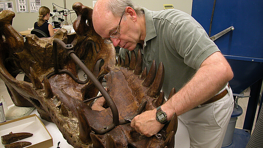 Paleolab. Courtesy of Carnegie Museum of Natural History