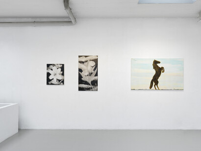 Rainbow Road. Courtesy of Galerie Sébastien Bertrand