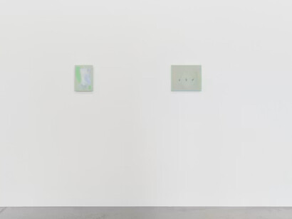 Sarah Pillen, From the field, exhibition view. Courtesy of Hopstreet Gallery