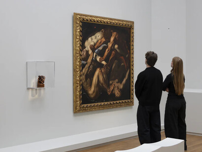Various artists, Metamorphoses, exhibition view. Courtesy of Rijksmuseum
