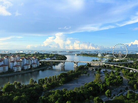 Marina Bay Sands, em Singapura. A escolha das espécies a serem plantadas, contudo, não pode ser aleatória. A arborização urbana possui critérios técnicos fundamentais para evitar conflitos com a infraestrutura, um fator importante para a sustentabilidade econômica do município