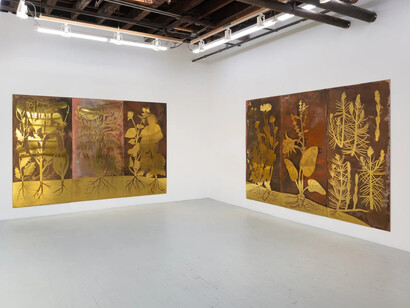 Alicja Biała and Diana Orving, The mushroom at the end of the world, exhibition view. Courtesy of Carvalho Park